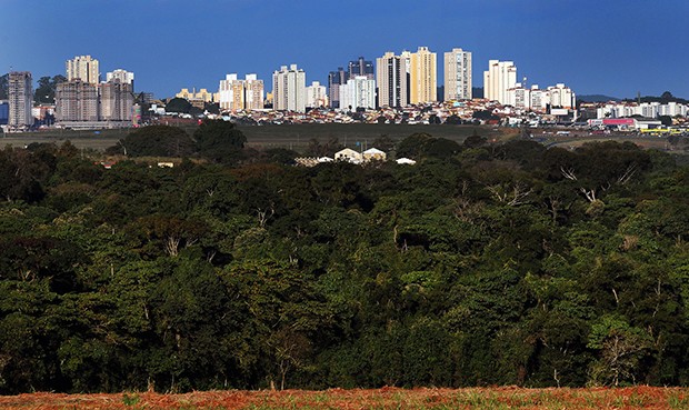 Campinas Agora - Mata de Santa Genebra é a maior floresta urbana da RMC (Foto: Carlos Bassan/Divulgação) Campinas Agora - Mata de Santa Genebra é a maior floresta urbana da RMC (Foto: Carlos Bassan/Divulgação)