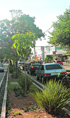 Movimento em área central do distrito: inclusão em zona macrometropolitana em debate